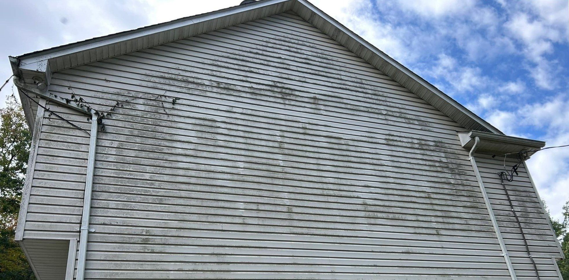 Gray vinyl gable wall streaked with dark mildew and vines before soft washing