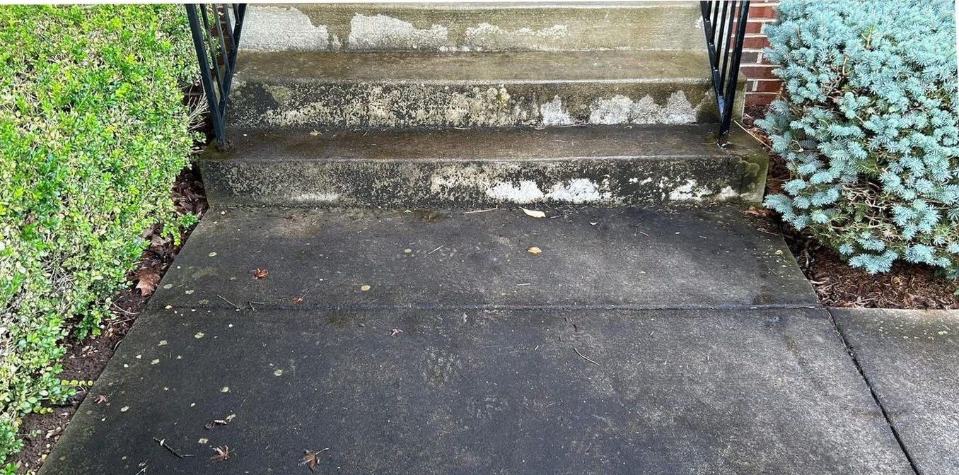 Concrete steps and front walk darkened with grime