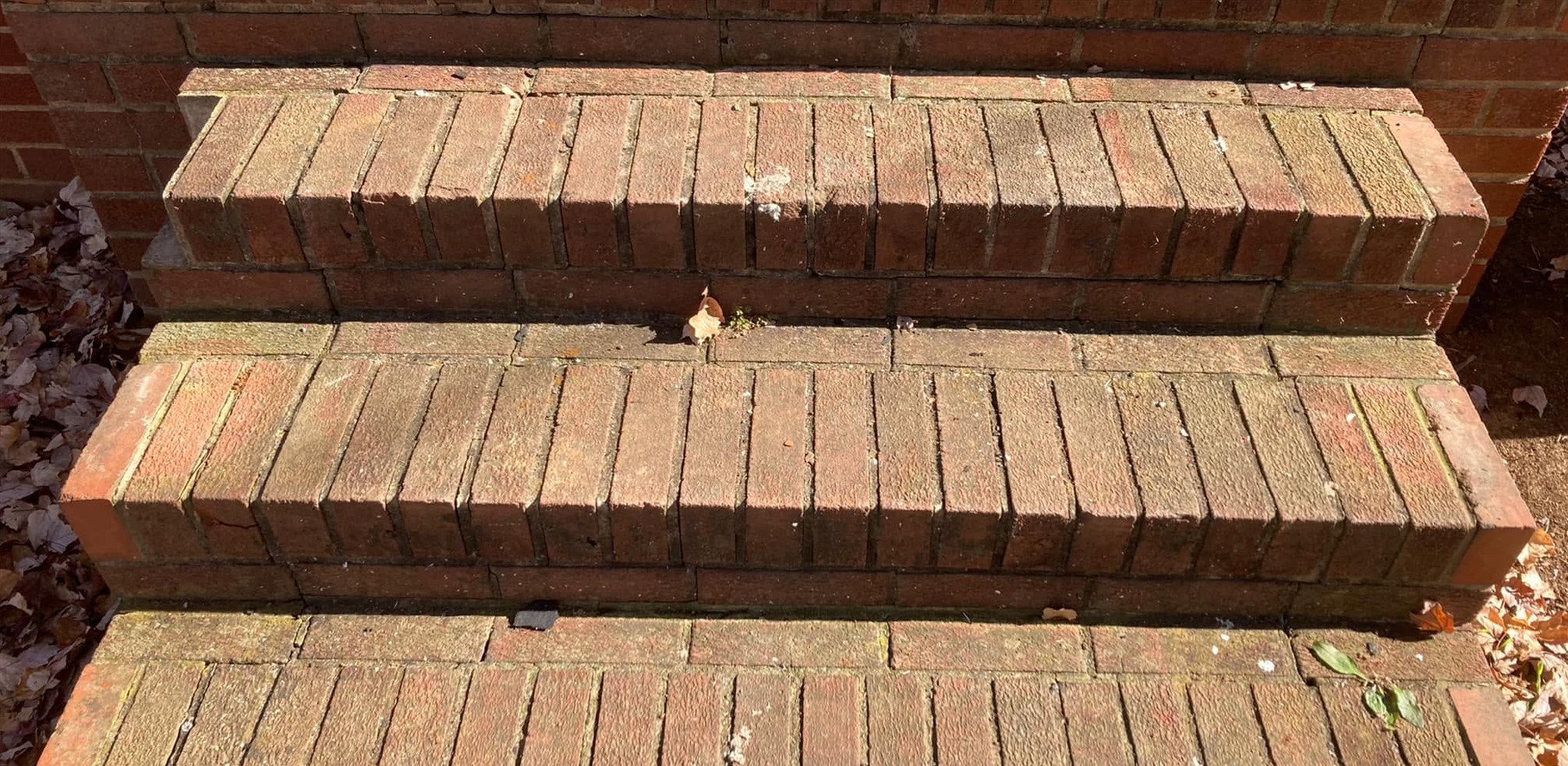 Three brick steps dull and gray-green with grime on the treads