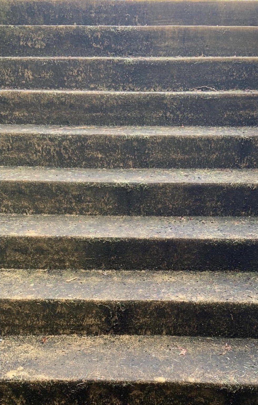 Wide concrete steps black with algae and moss along every riser