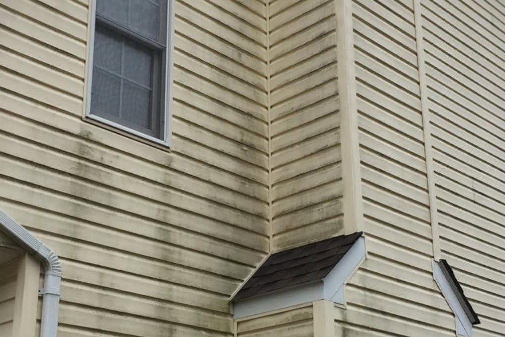 Yellow vinyl siding below a window and around a small shed roof, streaked with green mildew