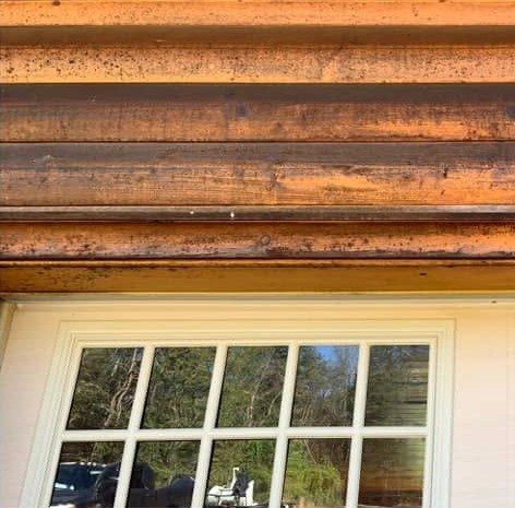 Log siding above a garage door covered in dark mildew spots