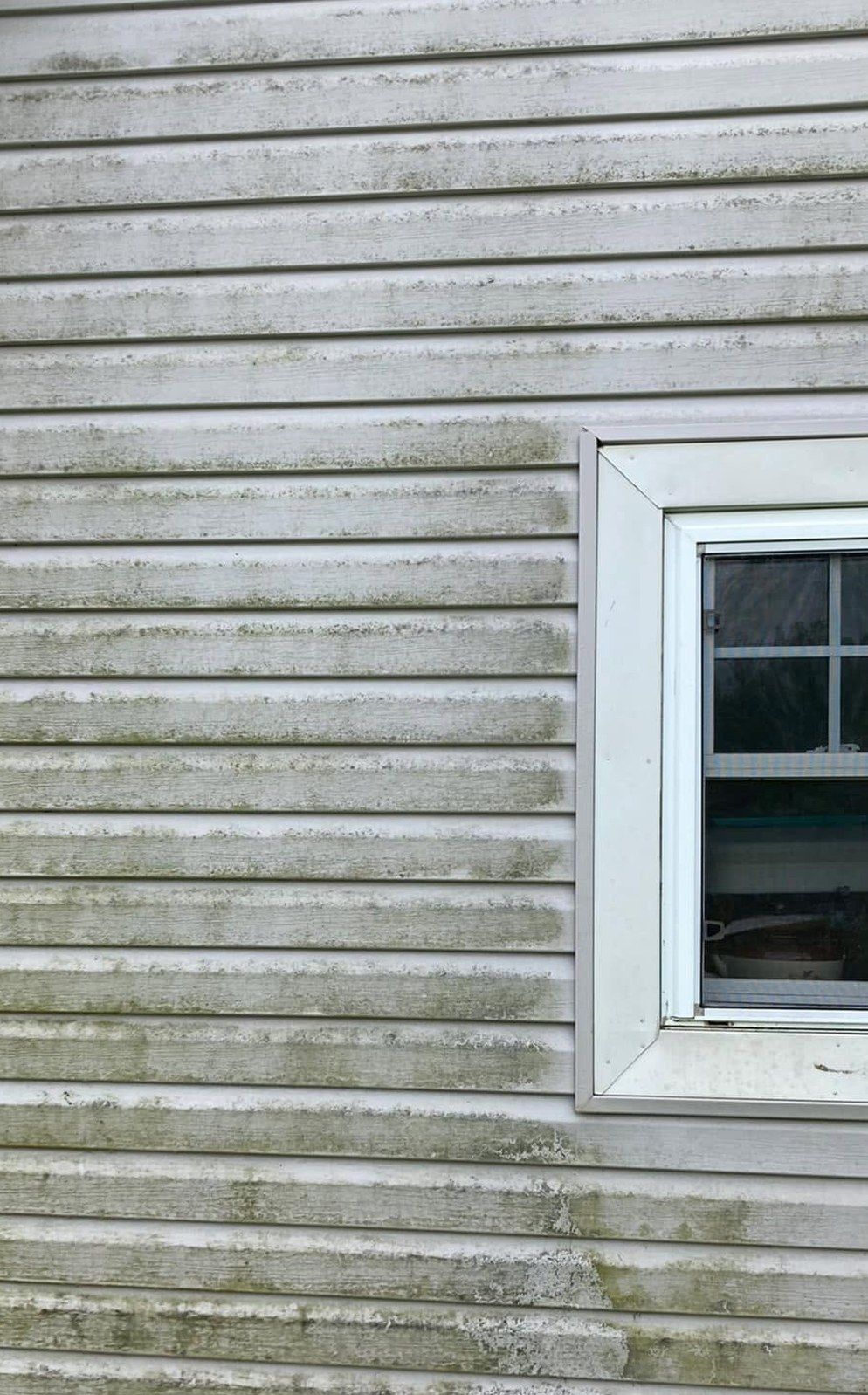 White vinyl siding beside a window, streaked with green algae and gray mildew along the laps