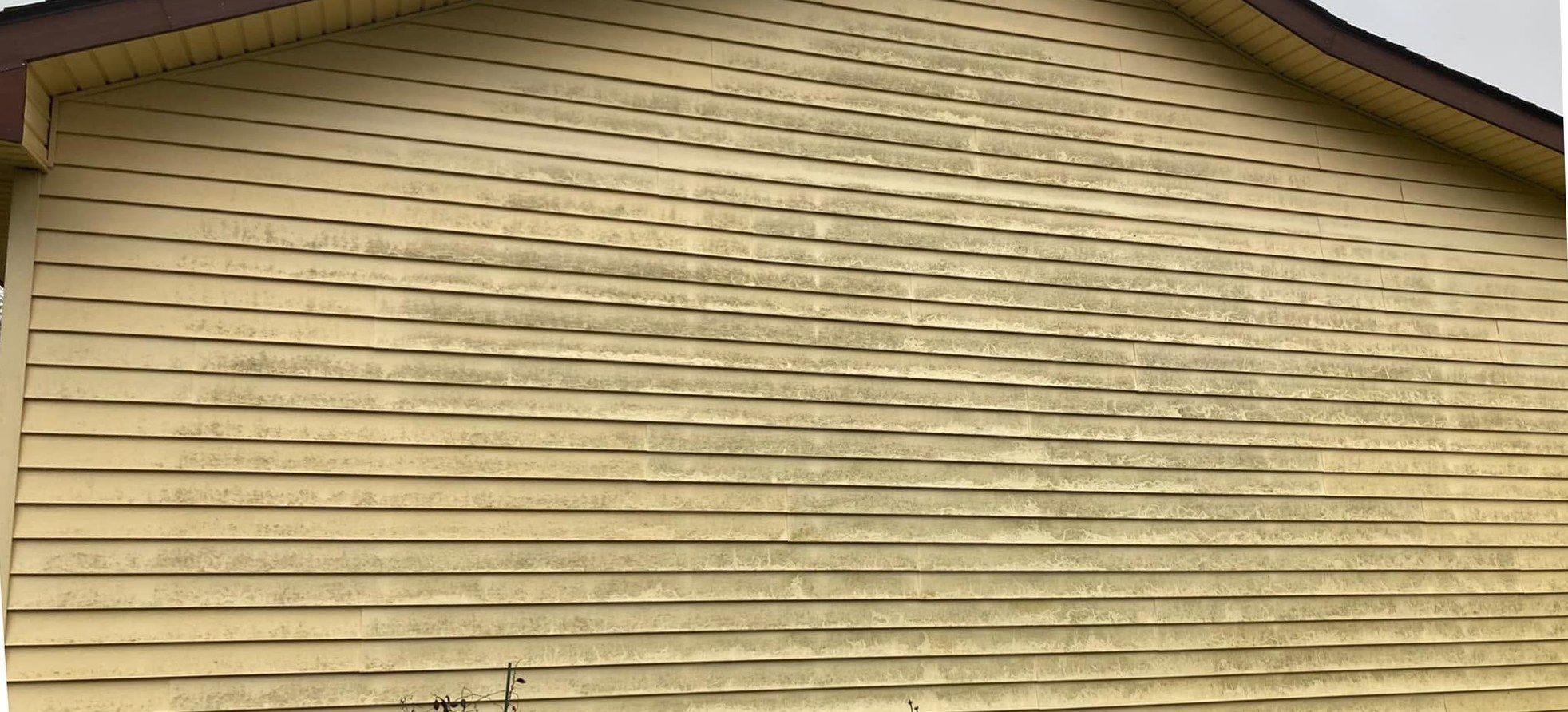 Yellow vinyl gable end under brown fascia, clouded with gray-green mildew along nearly every lap