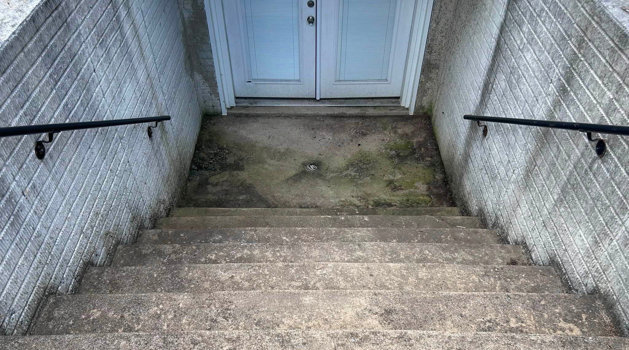 Basement stairwell steps and landing with green algae and moss before cleaning