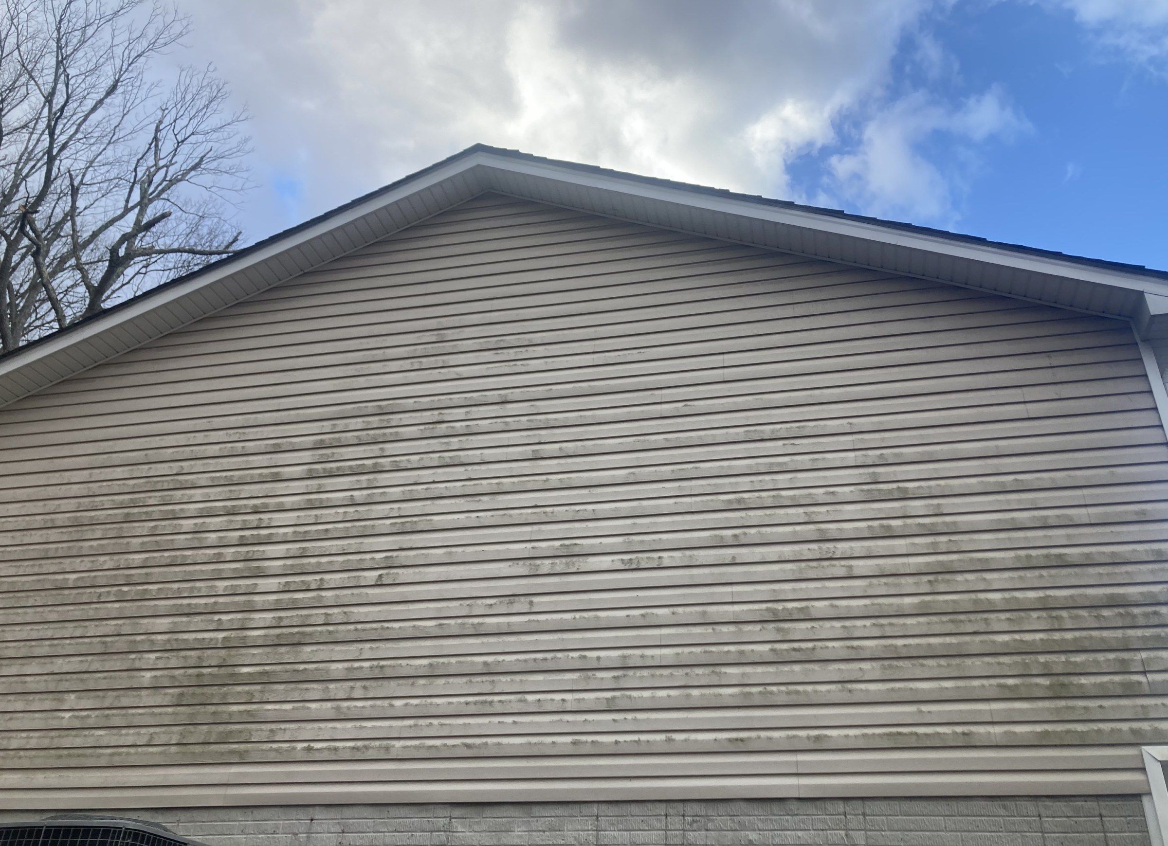 Vinyl siding on a house gable covered in green and black mildew streaks