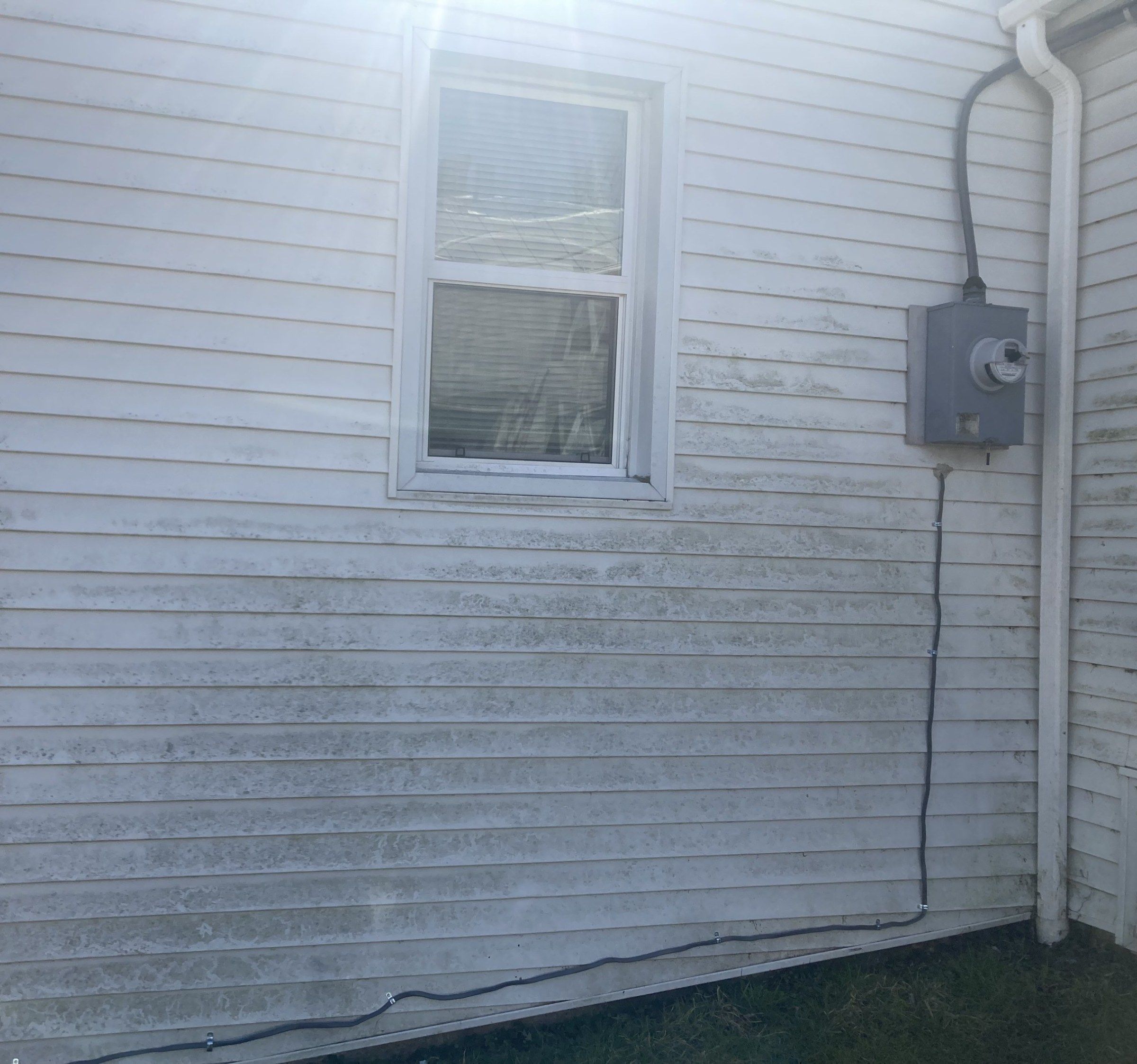 White vinyl siding around a window covered in green-gray mildew bands